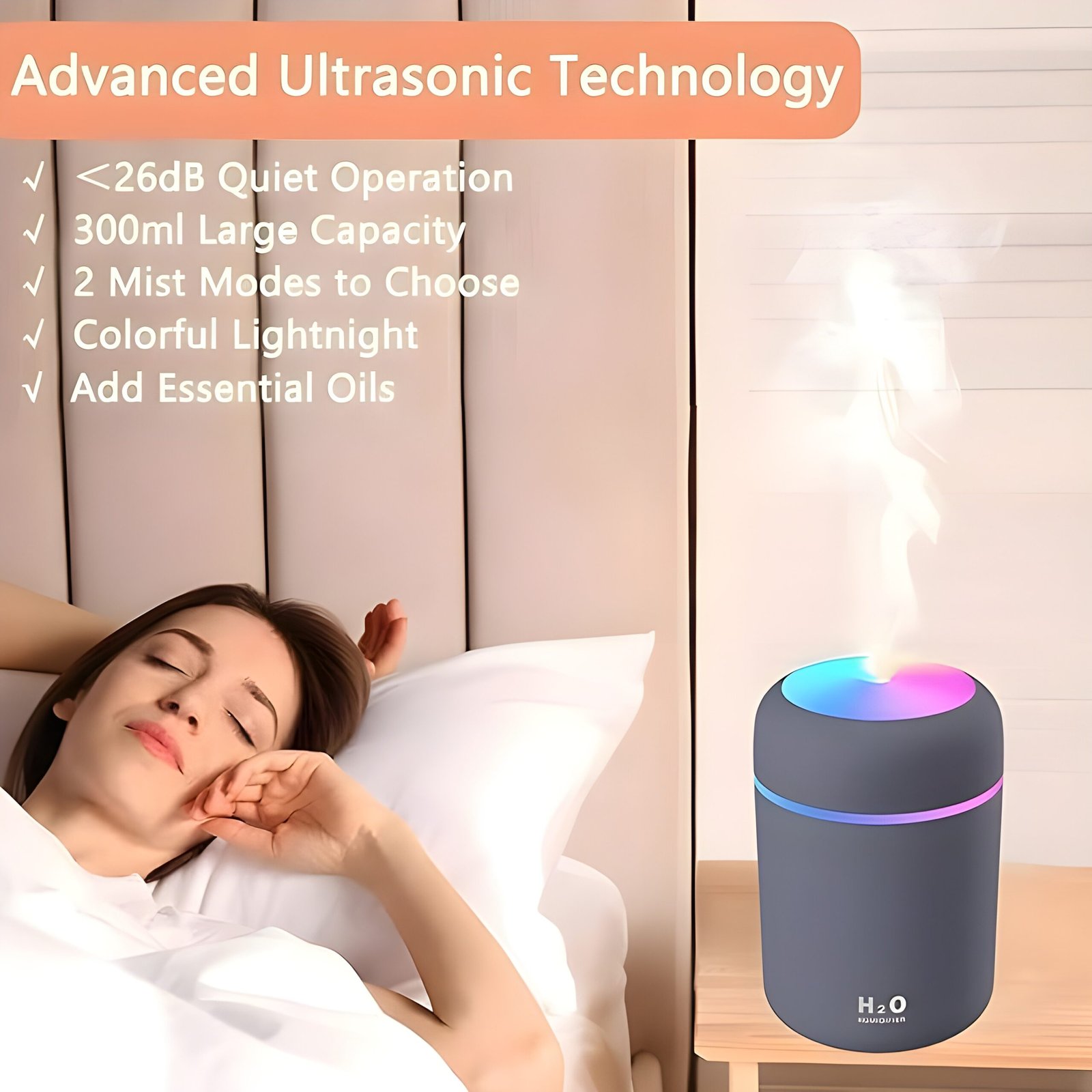 h2o humidifier