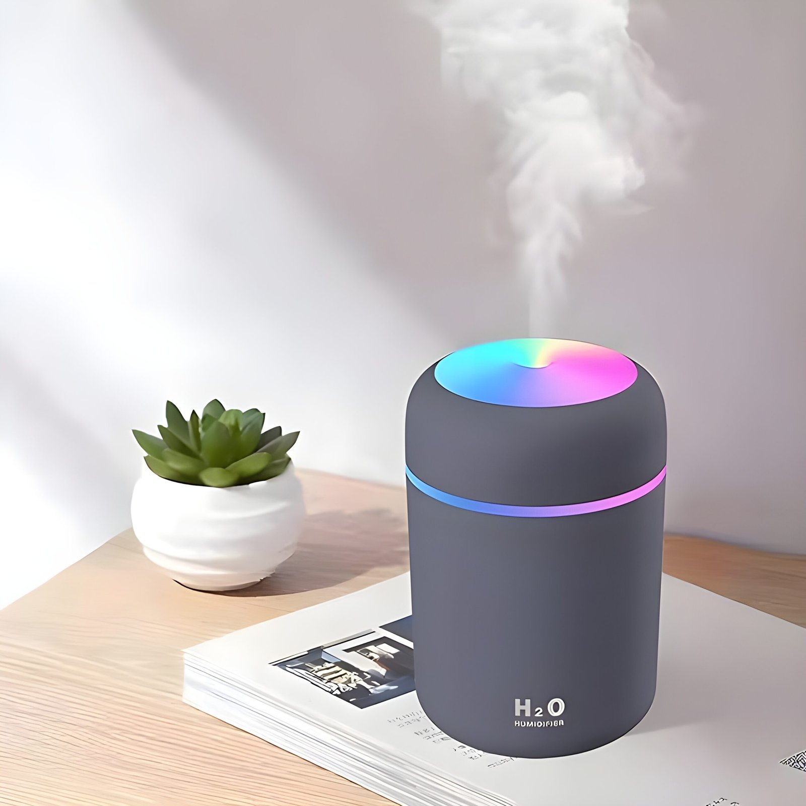 h2o humidifier
